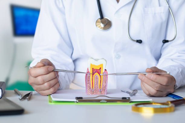 Best Emergency Wisdom Teeth Removal in Boswell, PA